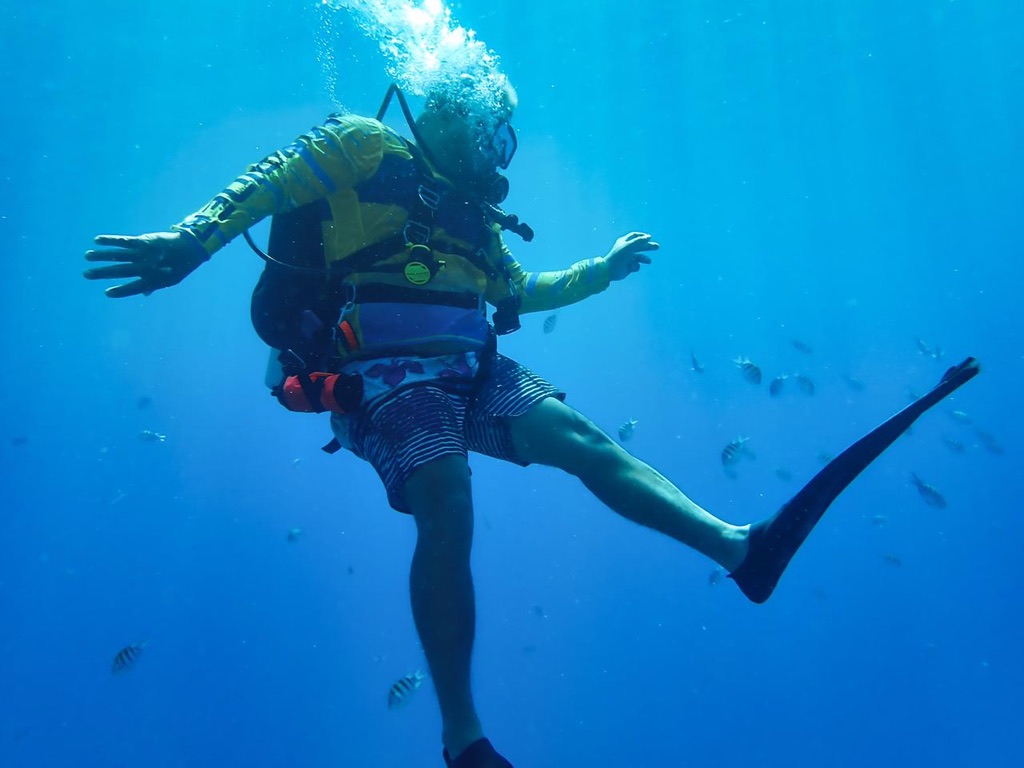 Underwater Videographer