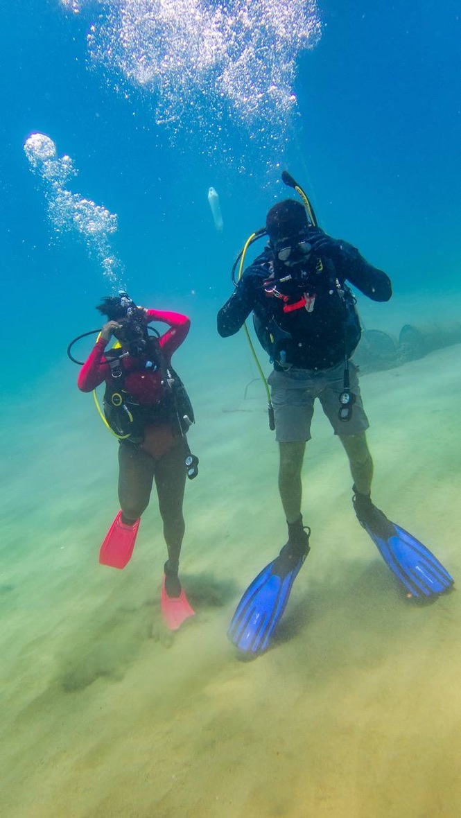 Diver Propulsion Vehicle