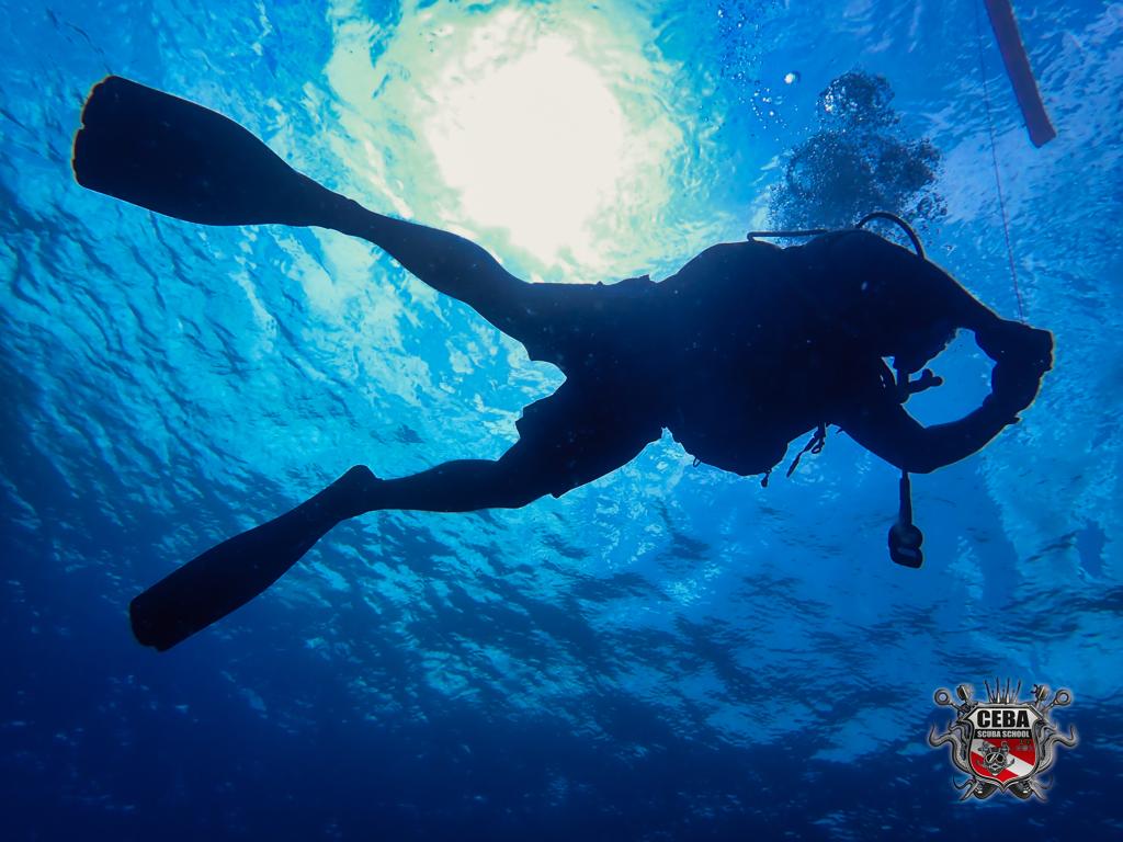 Diver silhouette under the sun